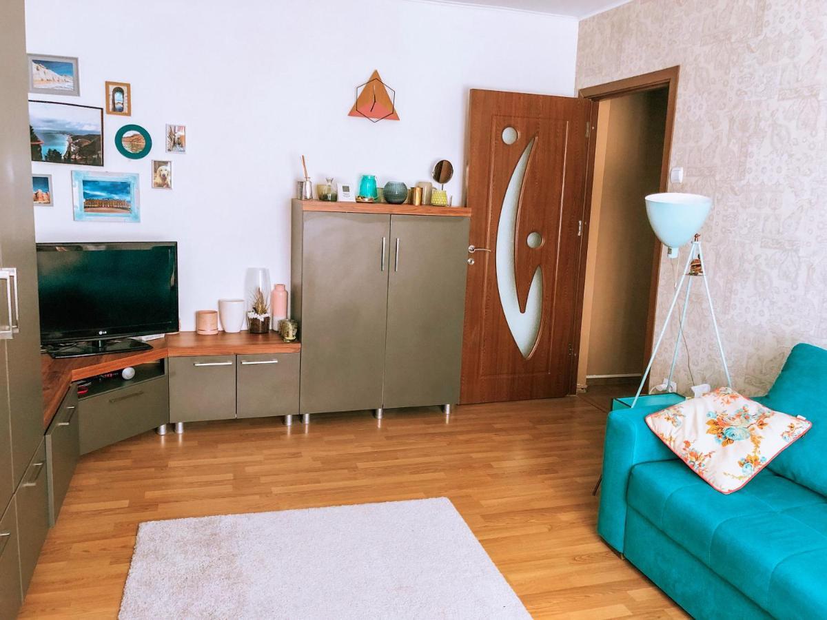 Cozy Apartment Bukovina Сучава Экстерьер фото